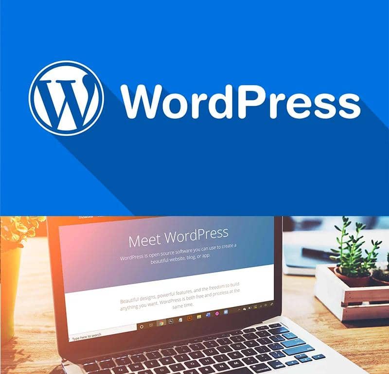 WordPress外贸站性能优化实战记录插图 WordPress外贸站性能优化实战记录插图